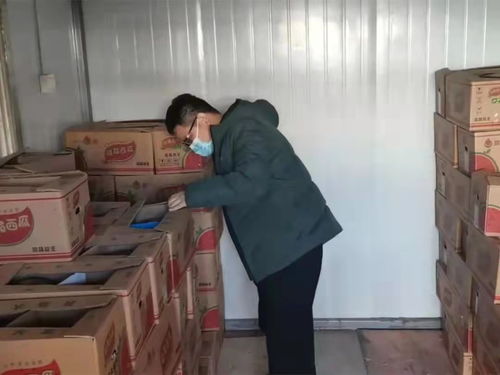 衡水推進食用農產品批發市場規范化建設，守護市民“菜籃子”安全