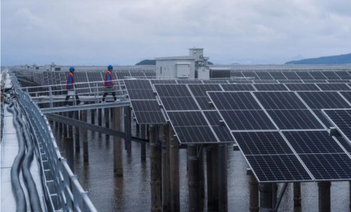 浙江大型光伏項(xiàng)目實(shí)現(xiàn)上層發(fā)電與下層水產(chǎn)養(yǎng)殖協(xié)調(diào)發(fā)展