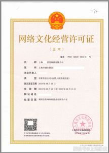 非游戲類網絡文化經營許可證 含義、范圍與申請要點